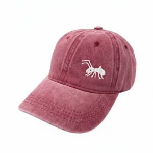 Accesorios y Gorras