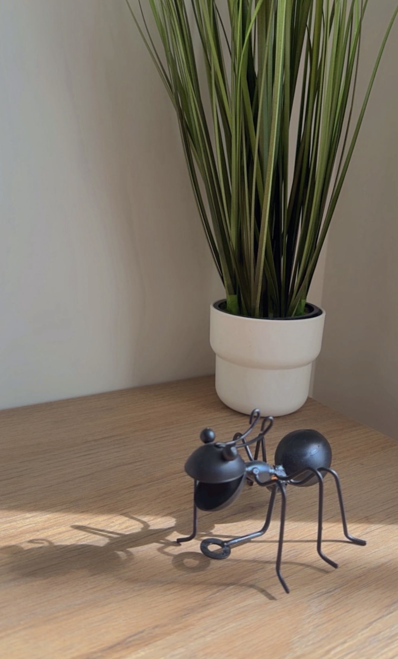 hormiga decorativa hormiga decorativa